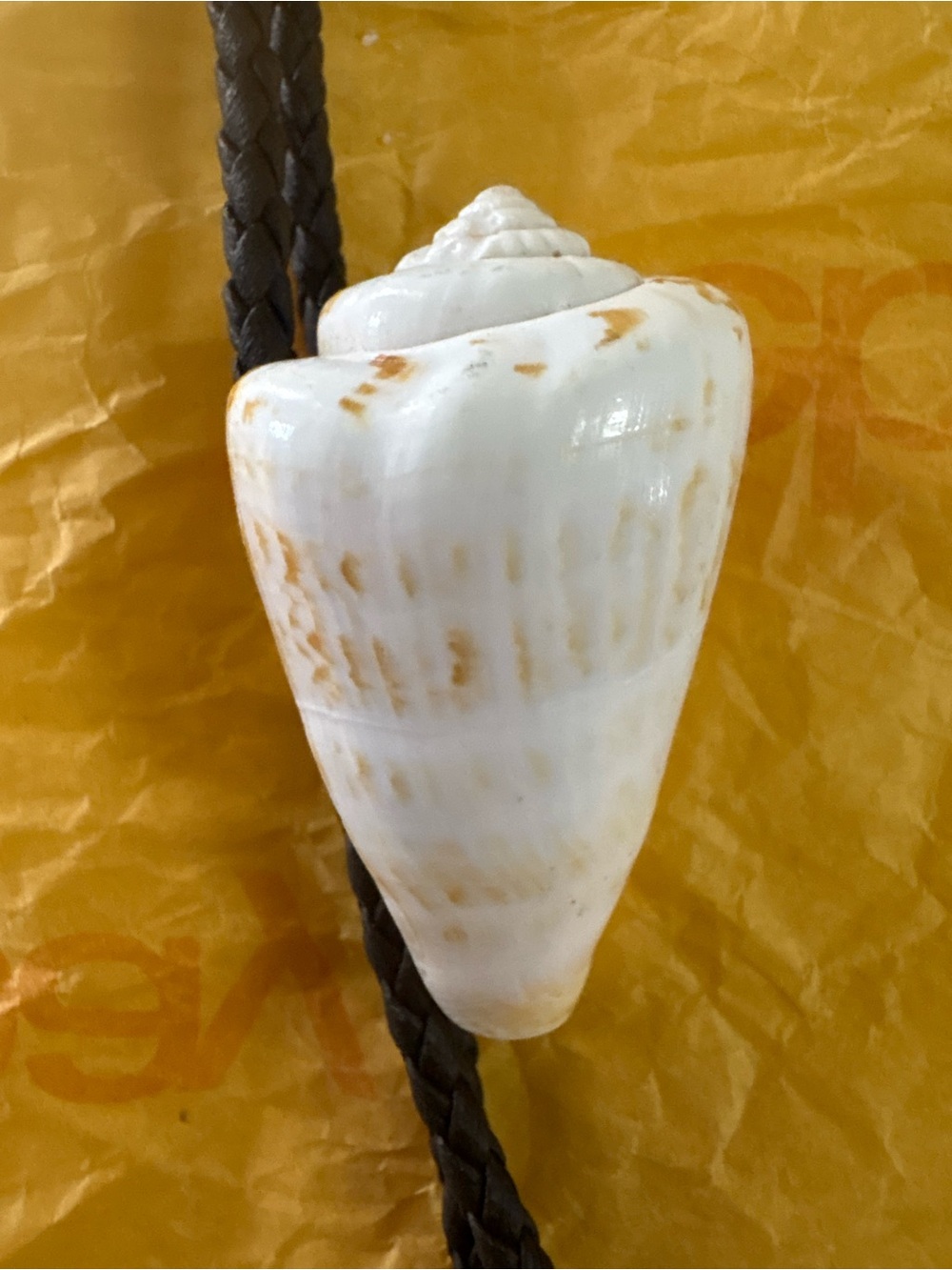 Handcrafted White and Tan Seashell Pendant Bolo Tie
